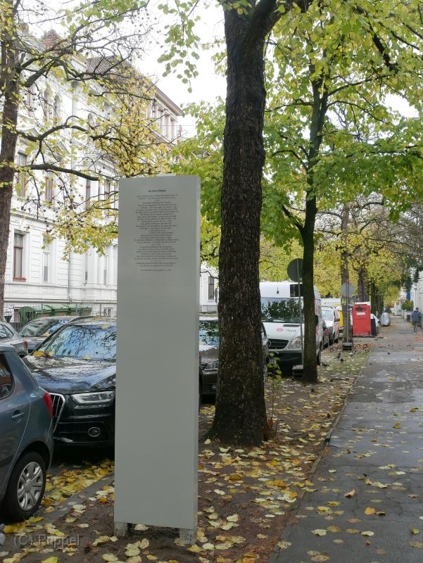 P9170464.JPG
