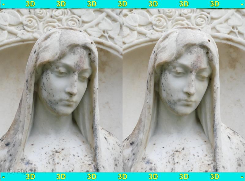 P9160884___3D__B.JPG