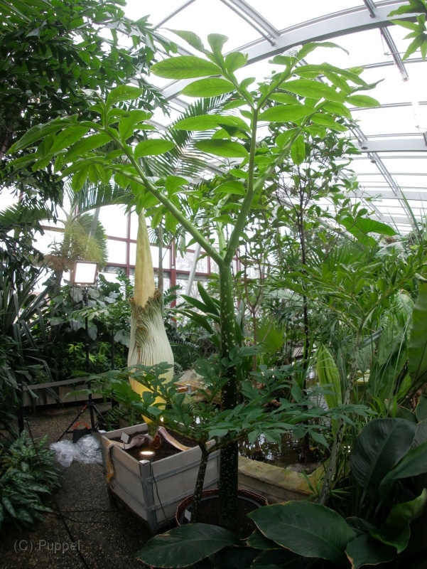 T-20211125-123549-P9330937-s.JPG