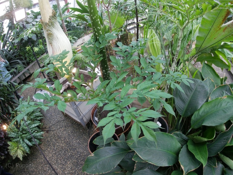 T-20211125-123621-P9330959-s.JPG