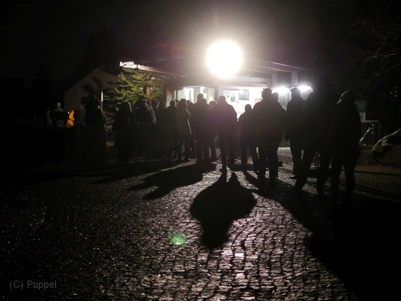 T-20211126-211854-P9350020-GX0-sa.jpg