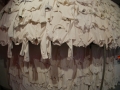 P9800170