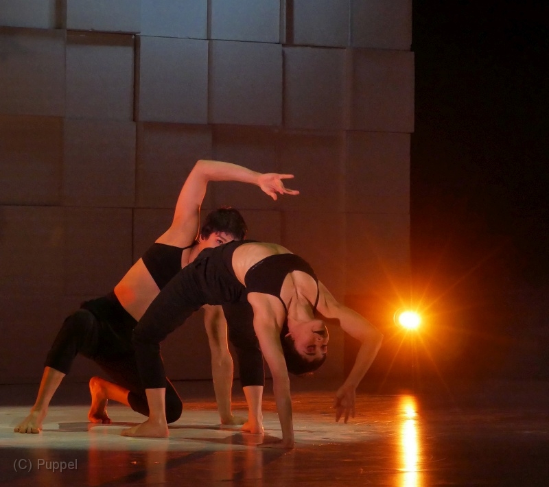 T-20211203-211856-P9890538-GX1-s-a.jpg