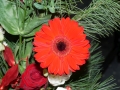 P9790995