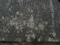 P1050387