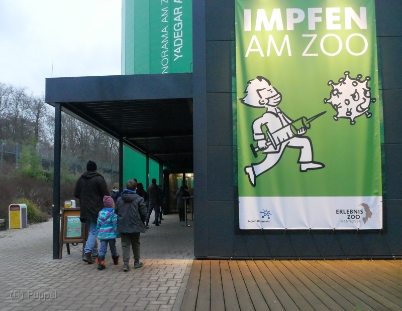 P1050946a.jpg