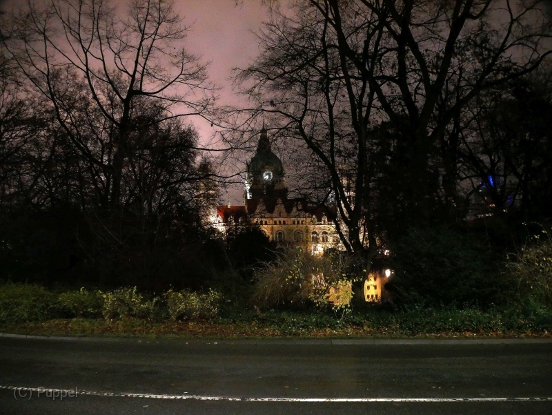 T-20211218-183855-P1150826-GX1.JPG