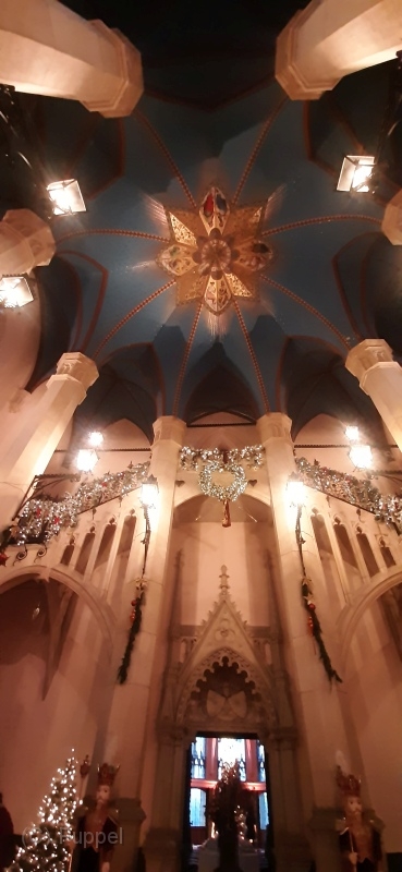T-20220107-155332-A50.jpg