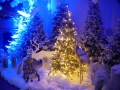 T-20220107-155521-P1200892