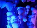 T-20220107-155637-P1200908