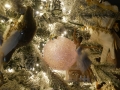 T-20220107-155815-P1200967