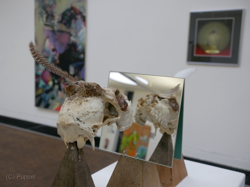 R03-P1280067.JPG