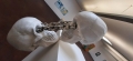 R31-T-20220113-120451