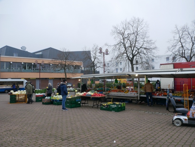 P1390819a.jpg