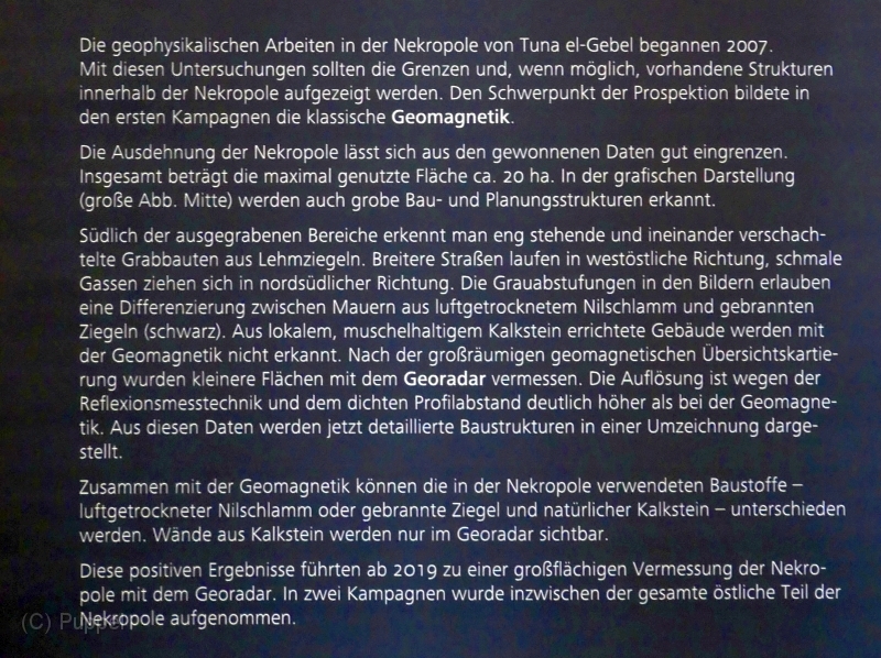 P1380352a.jpg