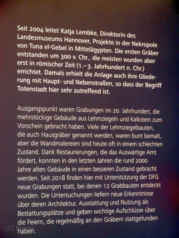 P1380370.JPG