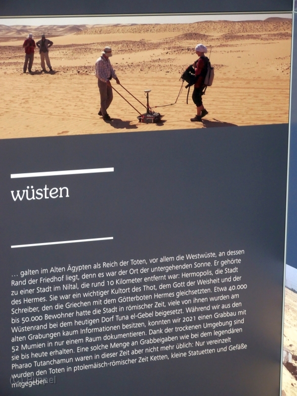 P1380376.JPG