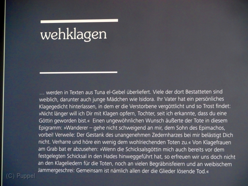 P1380382.JPG