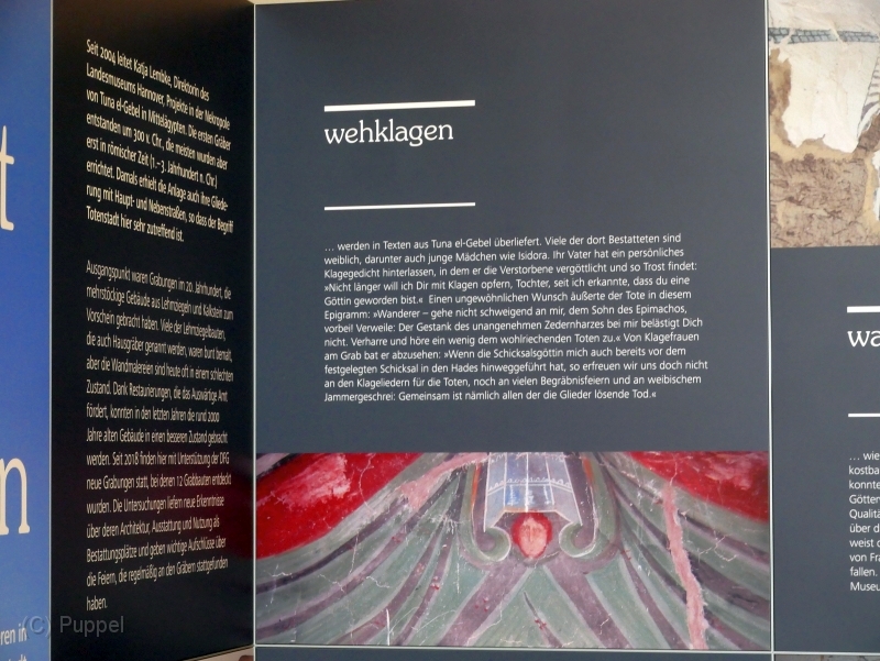 P1380385.JPG