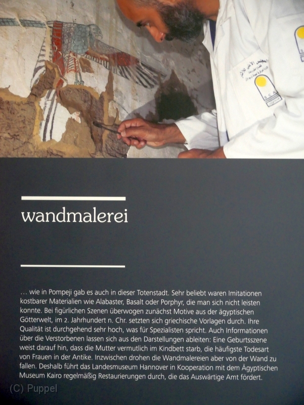 P1380394.JPG