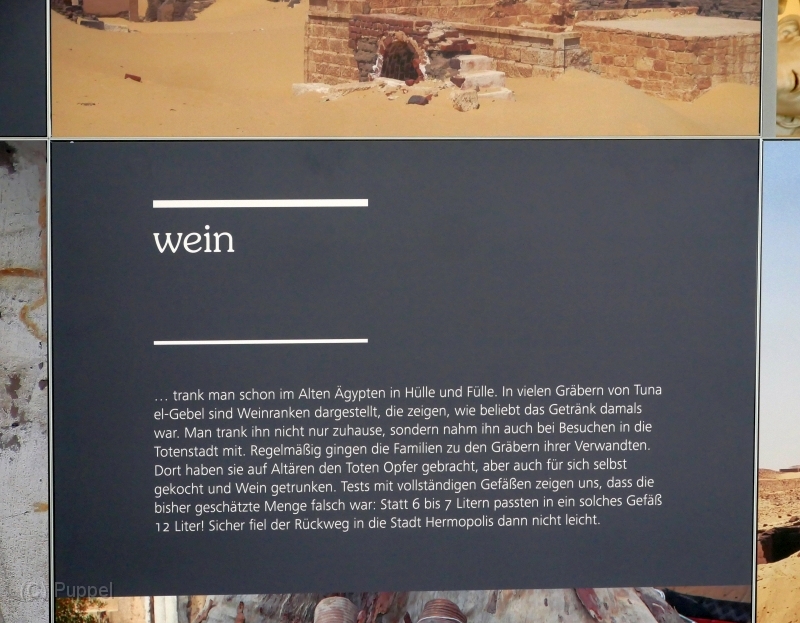 P1380406a.jpg