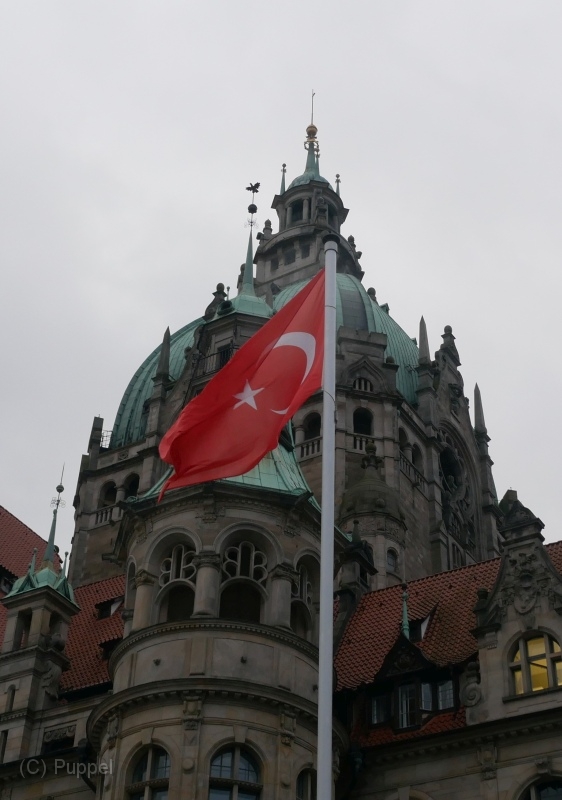 P1590541a.jpg