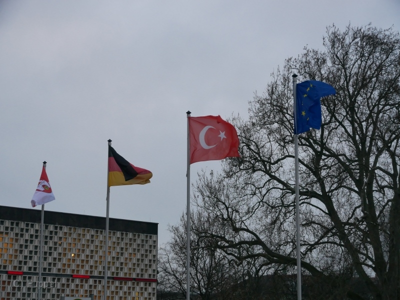 P1600764.JPG
