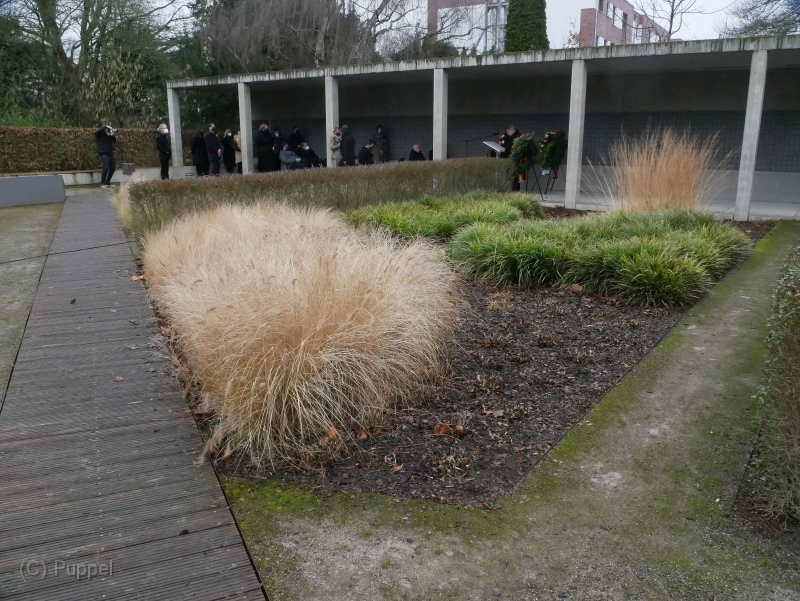 P1820613.JPG