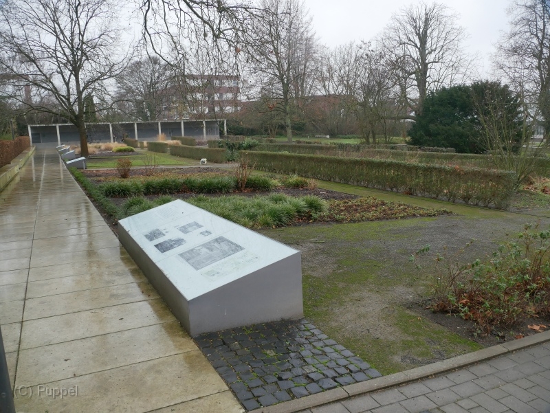 P1830727.JPG