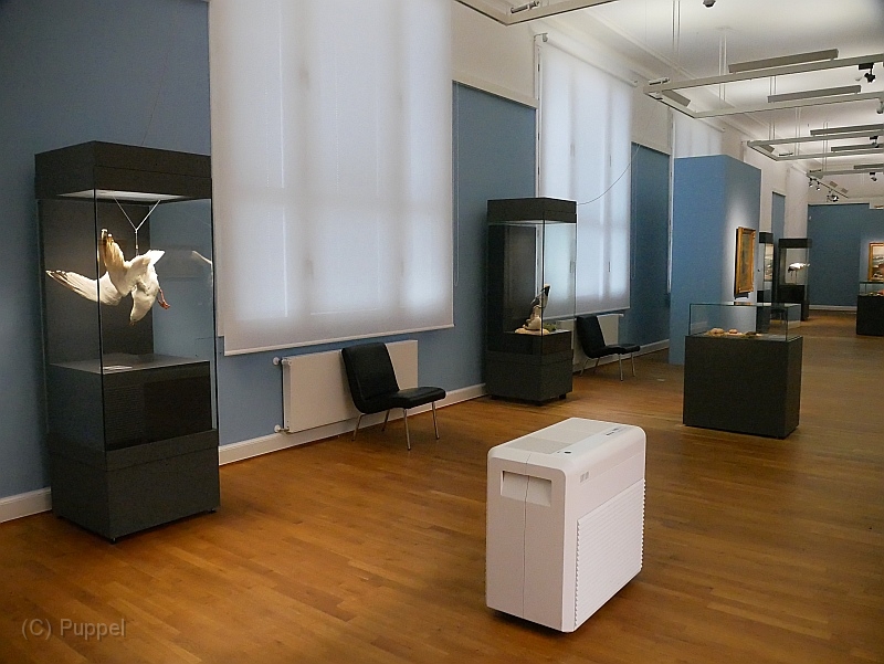 P1390045.JPG