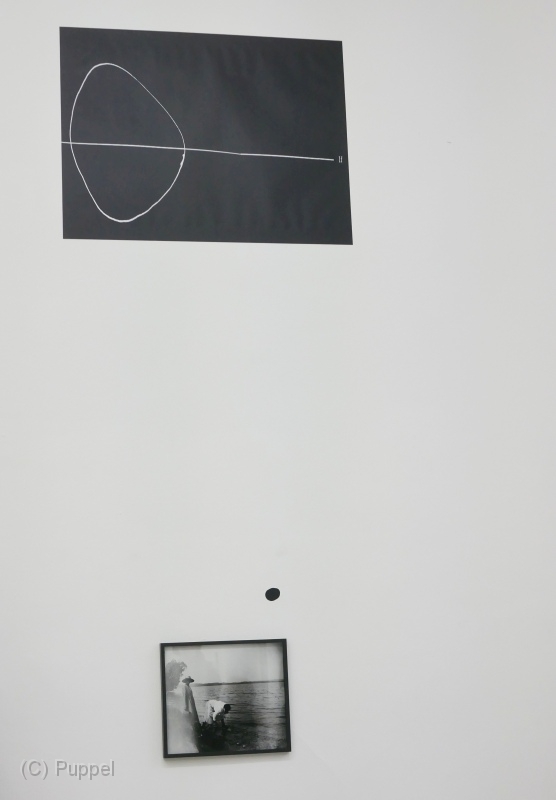 P1880963a.jpg
