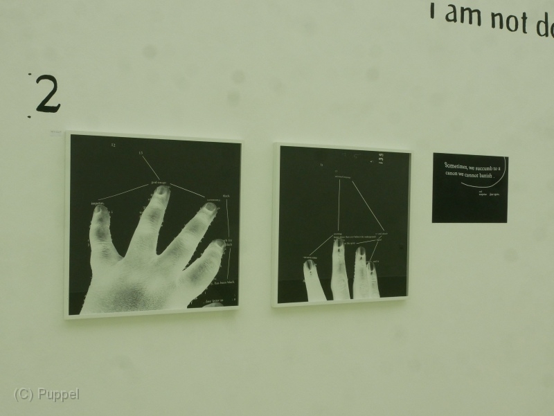 P1900333.JPG