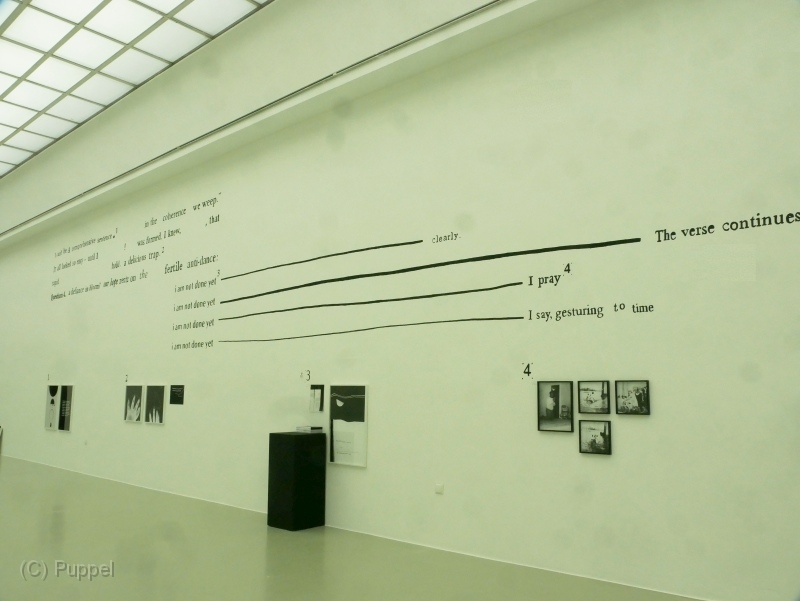 P1900413aa.jpg