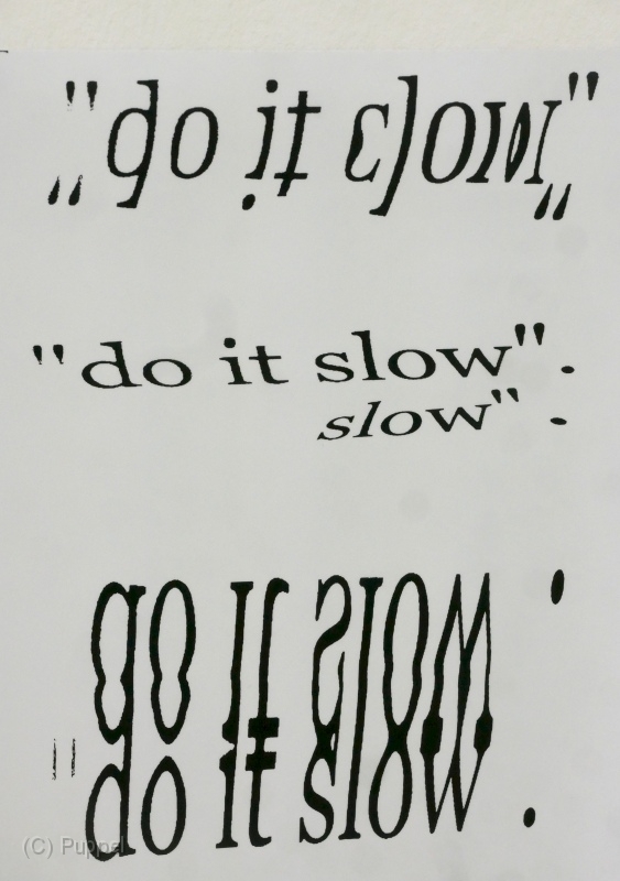 P1900490a.jpg