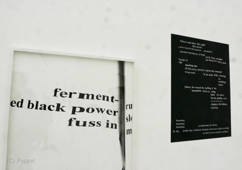 P1900555a.jpg