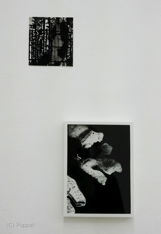 P1910040a.jpg