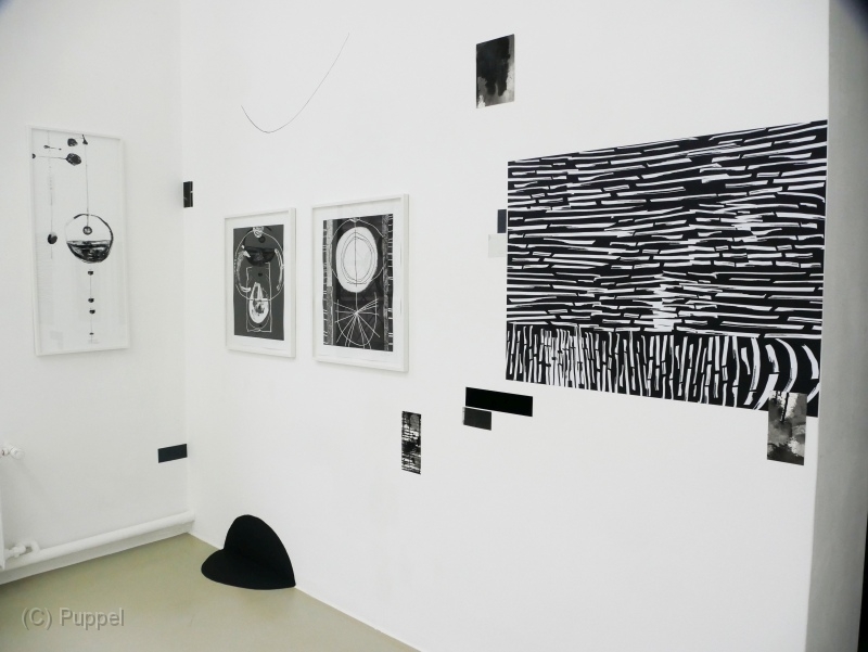 P1910061a.jpg