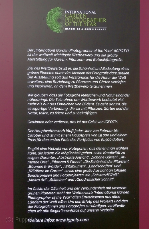 P1970194a.jpg