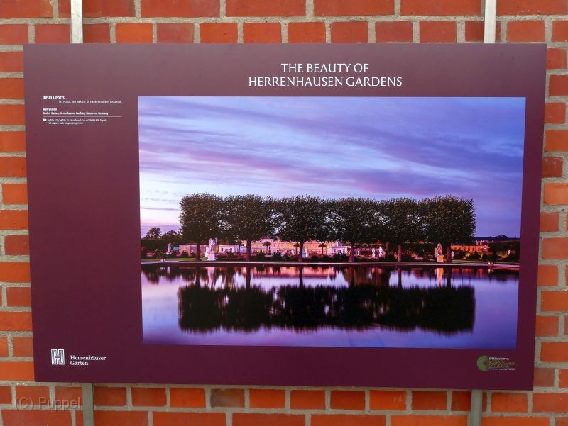 P1970221.JPG
