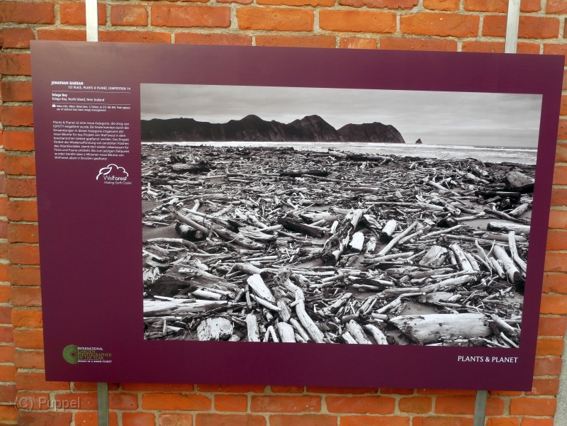 P1970301.JPG