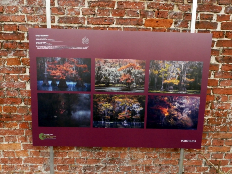 P1970417.JPG