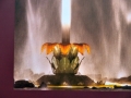 P1970242