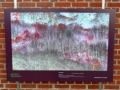 P1970265