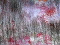P1970267