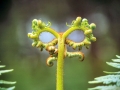 P1970271