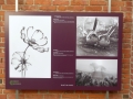 P1970288