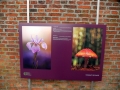 P1970373