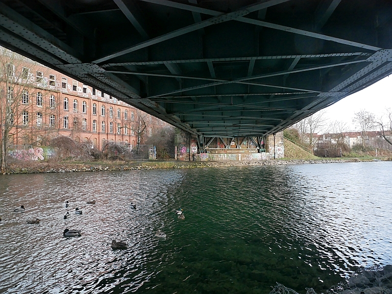 P2040370.JPG