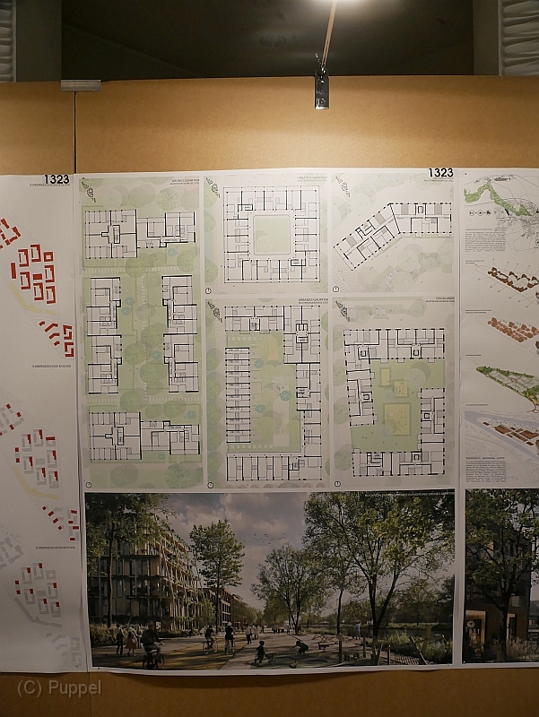 P2040664.JPG