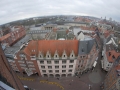 T-20220208-121925-P9420346